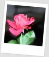 /album/boteco/img-2011-jpg/